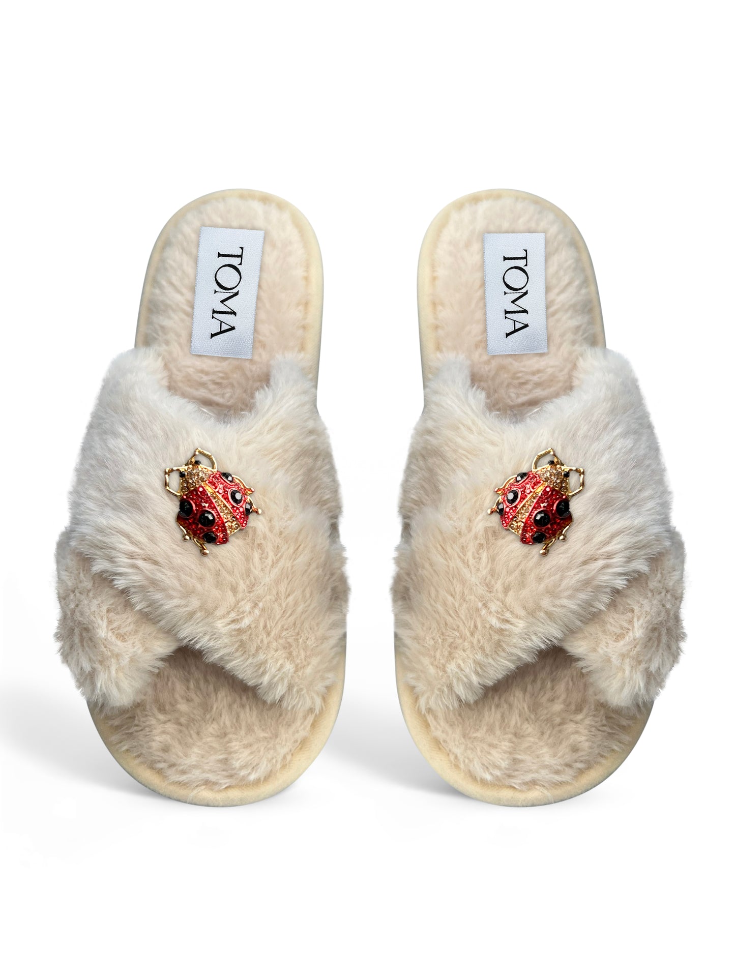Ladybird Slippers