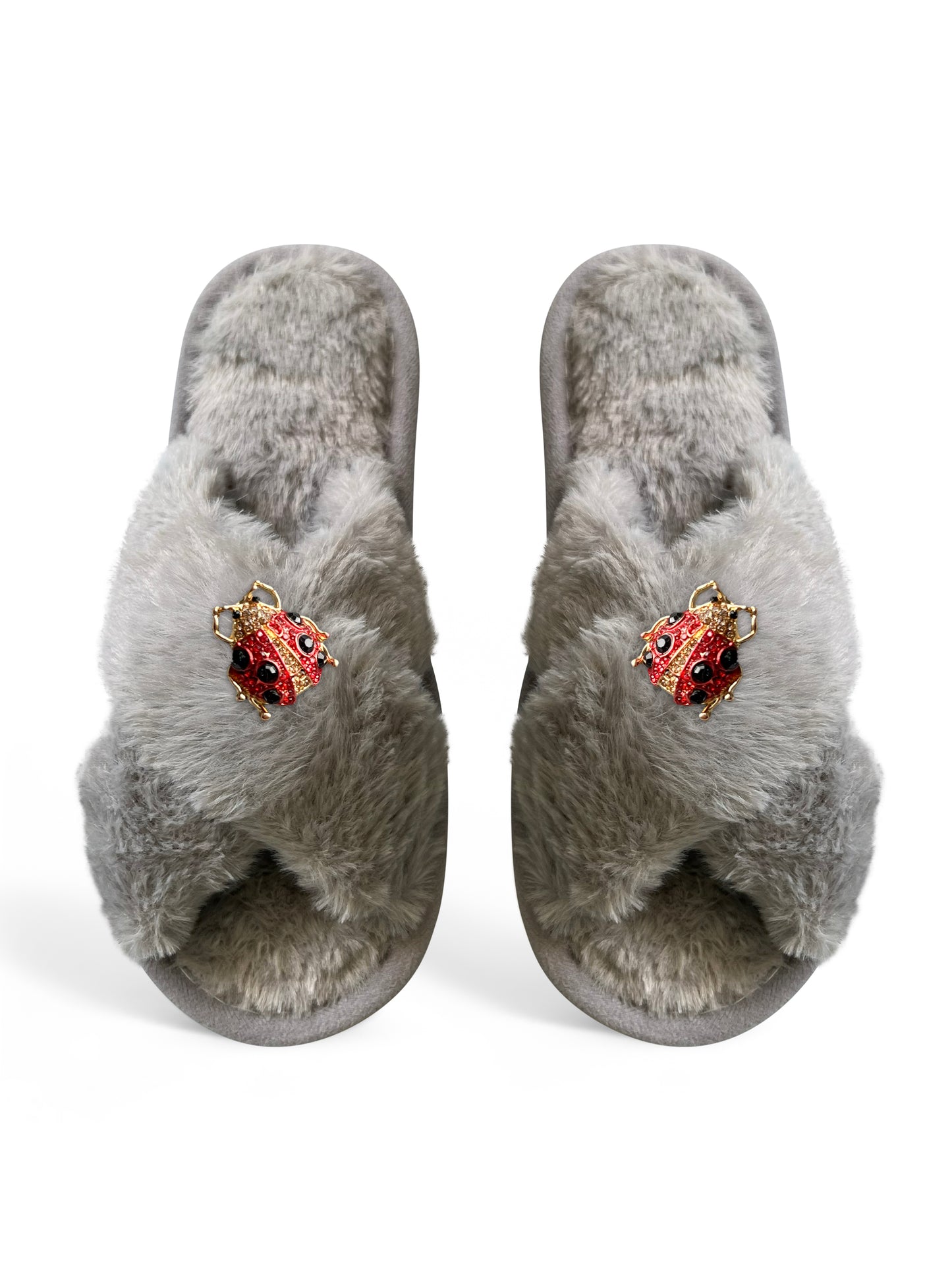 Ladybird Slippers