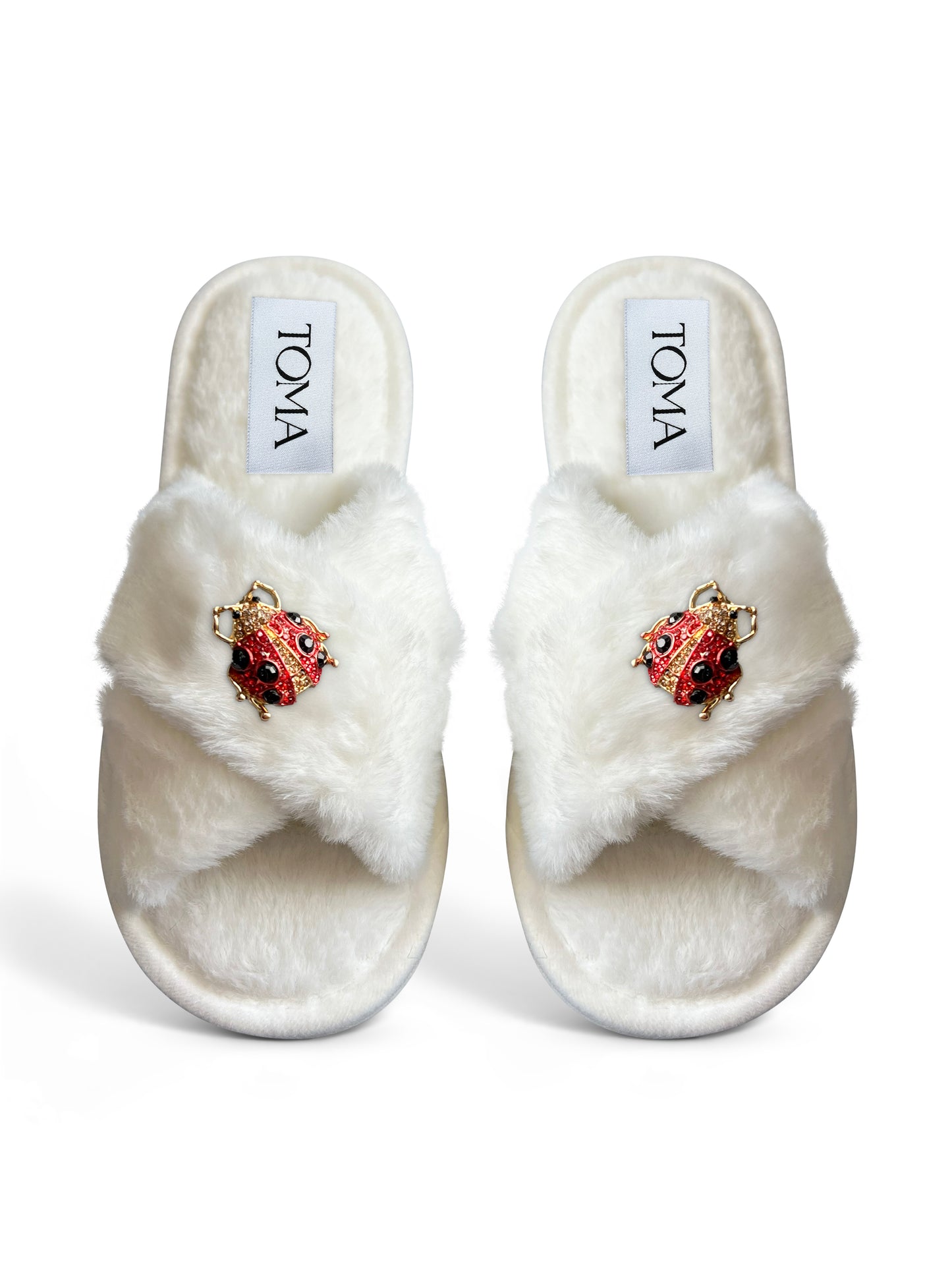 Ladybird Slippers